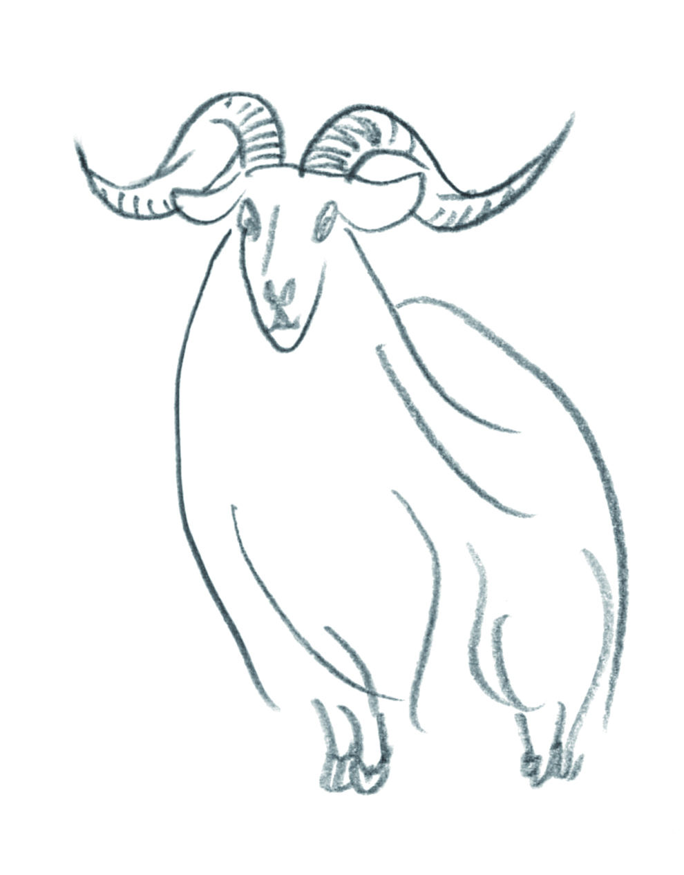 cashmere